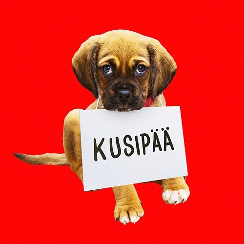 Kusipää Roope Salminen & Koirat
