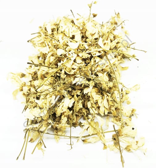 Kwiat Akacji Akacja Cały 1 Kg 100% Naturalny Sklep NATURALNY.SKLEP.PL