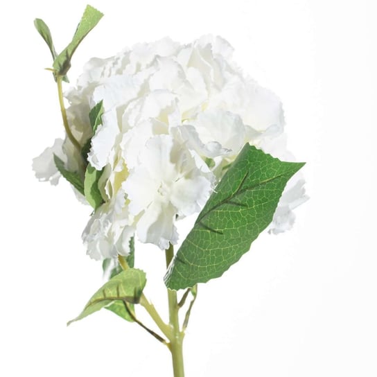 Kwiat Hortensji wys.65cm white, 20 × 20 × 65 cm Dekoria