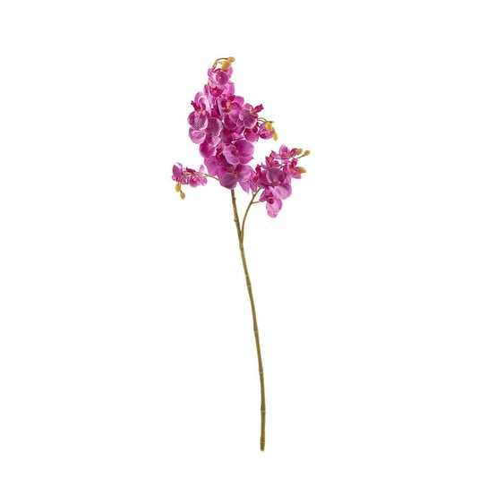 Kwiat Orchid Fuchsia 55cm, 55 cm Dekoria