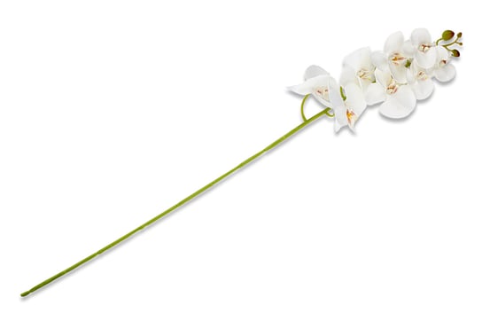 Kwiat Orchidea ORCHES biały / 97 / 70% tkanina/25% plastik/5% drut Konsimo