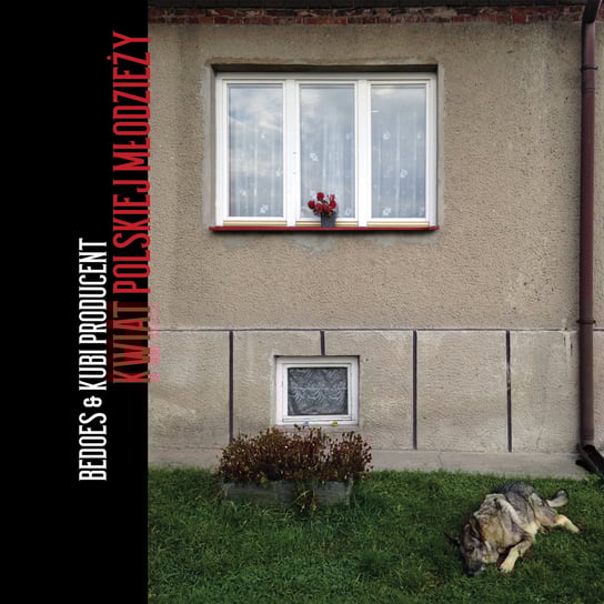Kwiat polskiej młodzieży Bedoes & Kubi Producent