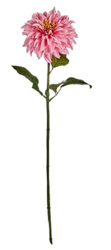 kwiat sztuczny Dalia Rosa 16 x 74 cm zielony/różowy TWM