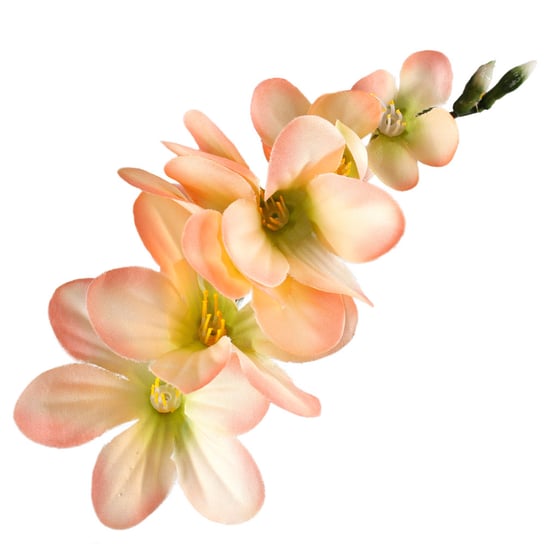 Kwiatostan Frezji Ozdobny Brzoskwiniowy Siima