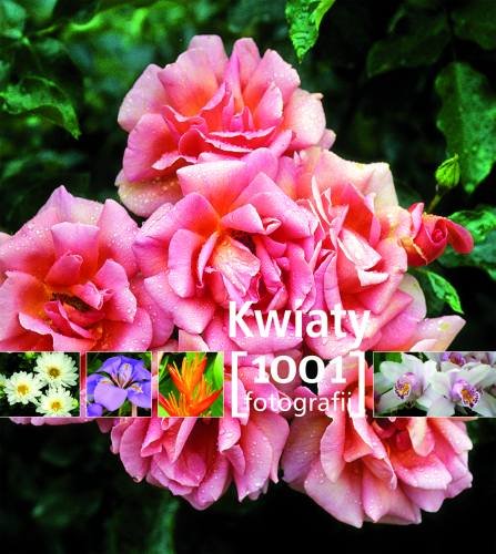 Kwiaty. 1001 fotografii Opracowanie zbiorowe
