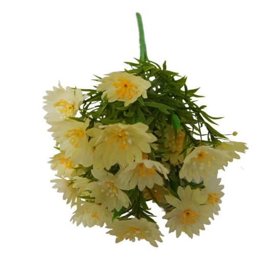 Kwiaty dekoracyjne Bukiet Aster kremowy kremowy Wisan