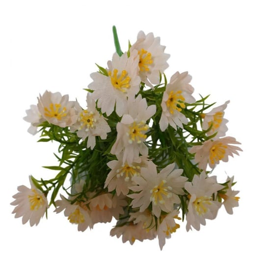 Kwiaty dekoracyjne Bukiet Aster łosoś łososiowy Wisan