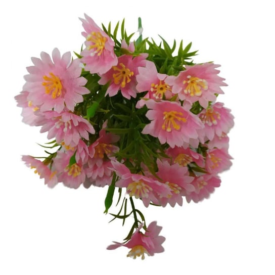 Kwiaty dekoracyjne Bukiet Aster różowy różowy Wisan