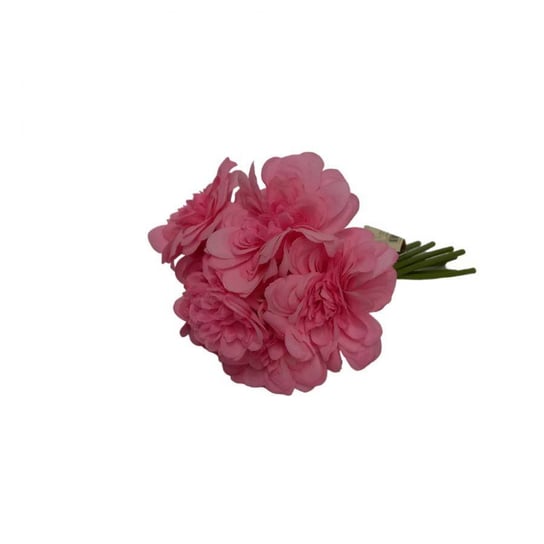 Kwiaty dekoracyjne Bukiet Begonia różowy różowy Wisan
