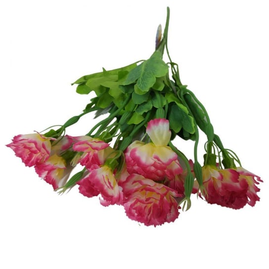 Kwiaty dekoracyjne Bukiet Goździk biało-różowy biało-różowy Wisan