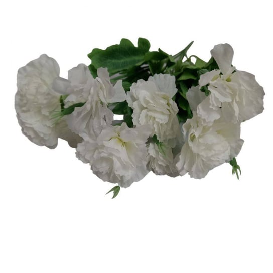 Kwiaty dekoracyjne Bukiet Goździk biały biały Wisan