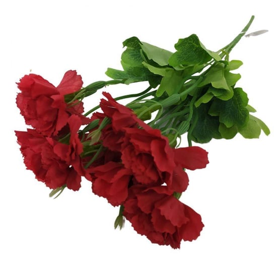 Kwiaty dekoracyjne Bukiet Goździk czerwony czerwony Wisan