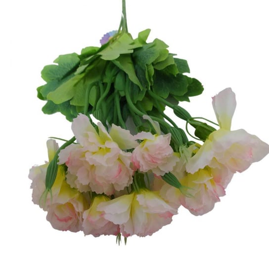 Kwiaty dekoracyjne Bukiet Goździk jasny róż jasny róż Wisan