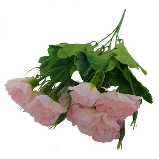 Kwiaty dekoracyjne Bukiet Goździk różowy różowy Wisan