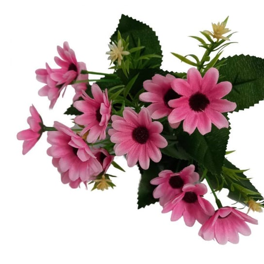 Kwiaty dekoracyjne Bukiet Margarytki różowy różowy Wisan