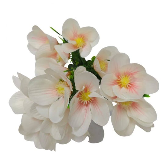 Kwiaty dekoracyjne Bukiet Tulipan Fostera biały biały Wisan