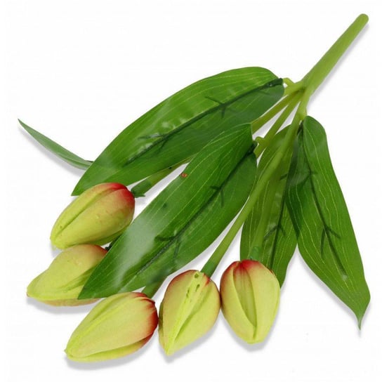 Kwiaty dekoracyjne Bukiet Tulipan gumowy zielony zielony Wisan