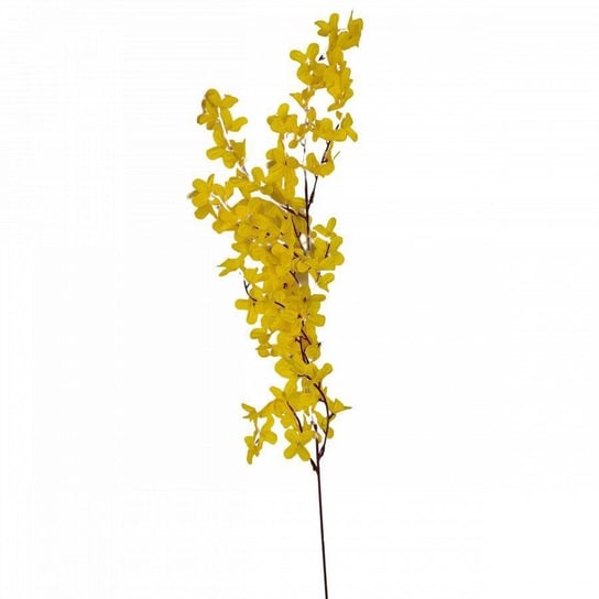 Kwiaty dekoracyjne Forsycja gałązka żółty Wisan