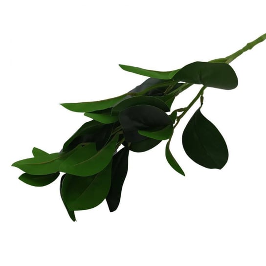 Kwiaty dekoracyjne Gałązka Liście zielony Wisan