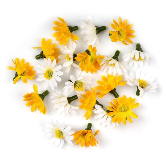Kwiaty dekoracyjne, stokrotki, 20 sztuk Knorr Prandel