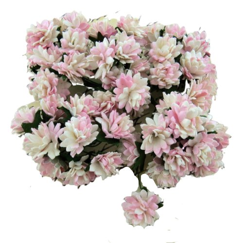 Kwiaty papierowe ASTRY różowo-kremowe - 50szt Wild Orchid Crafts