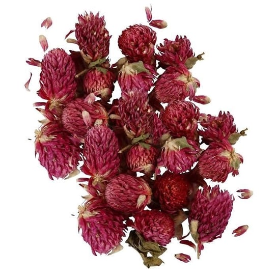 Kwiaty suszone - Koniczyna czerwona 30 g Youdoit