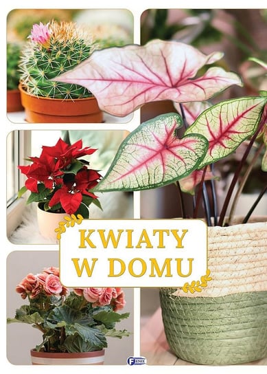 Kwiaty w domu Opracowanie zbiorowe