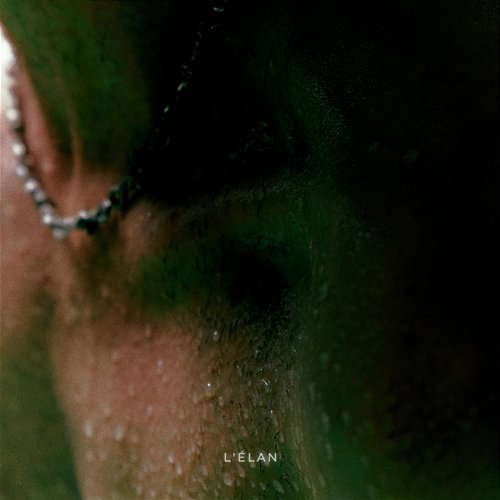 L'élan William Woods