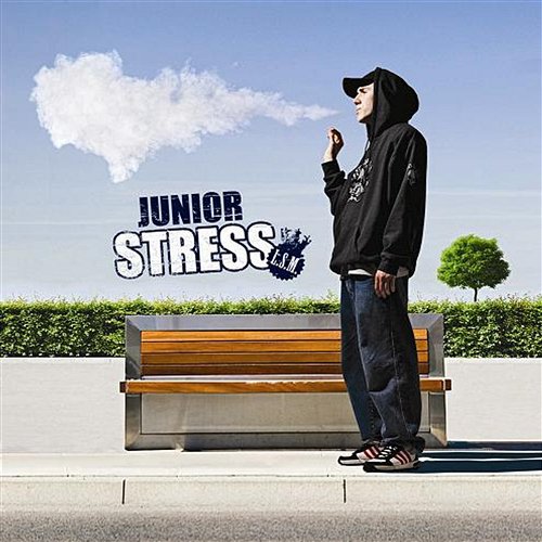 L. S. M. Junior Stress