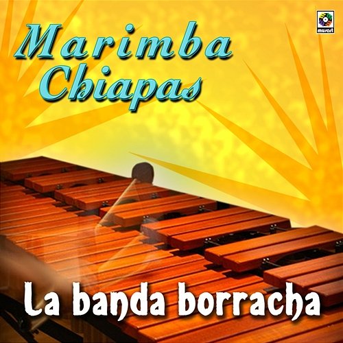 La Banda Borracha Marimba Chiapas