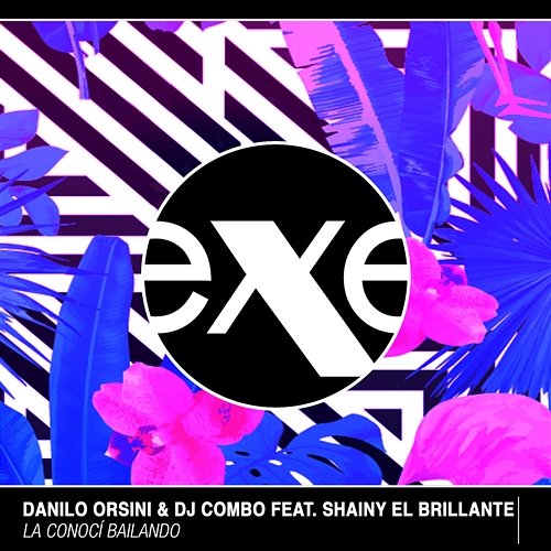 La conoci bailando Danilo Orsini, DJ Combo feat. Shainy El Brillante