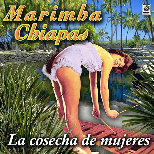 La Cosecha De Mujeres Marimba Chiapas