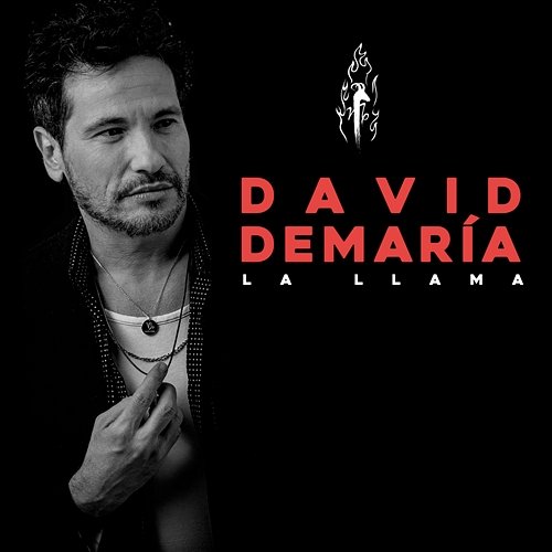 La llama David deMaria