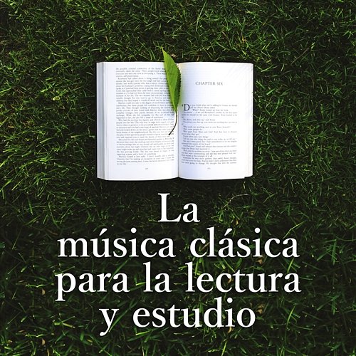 La música clásica para la lectura y estudio - Obras maestras de relax y el alivio del estrés Various Artists