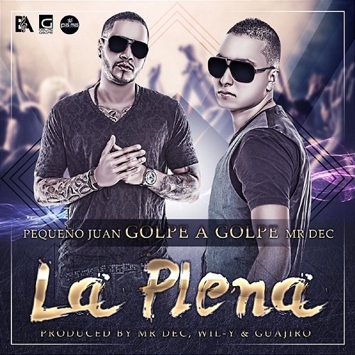 La Plena Golpe a Golpe