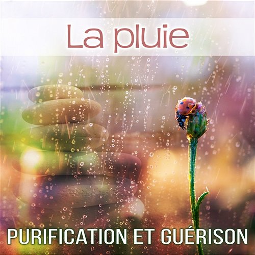 La pluie - Purification et guérison: Musique zen, New Age, Sons de la nature (Massage, Spa, Relaxation, Yoga, Sophrologie, Méditation, Reiki et Sommeil) Zen Ambiance D'eau Calme