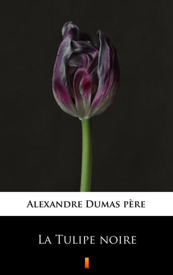 La Tulipe noire Dumas Aleksander
