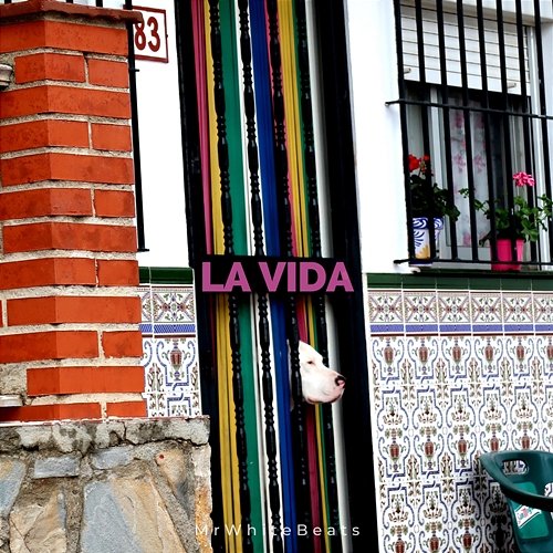 La Vida MrWhiteBeats