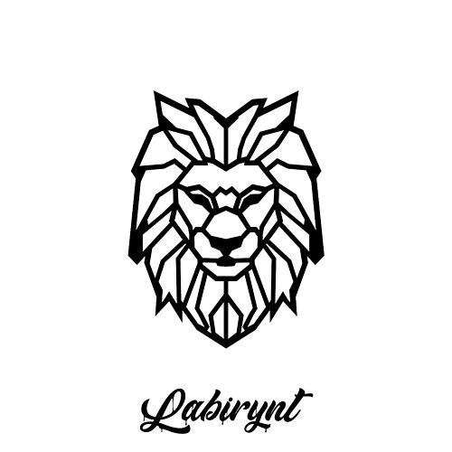 Labirynt Marcin Czerwiński