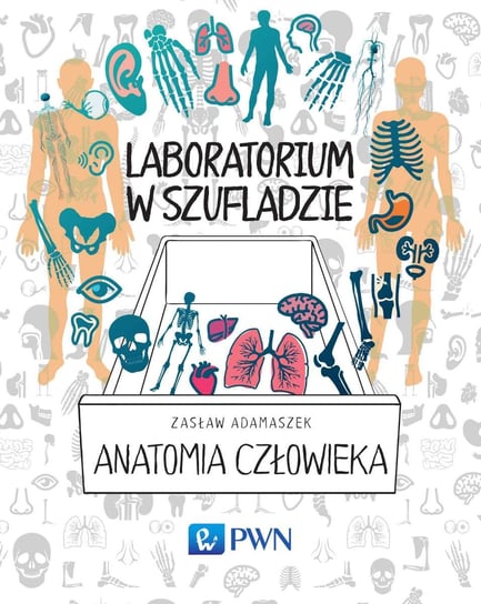 Laboratorium w szufladzie. Anatomia człowieka Adamaszek Zasław