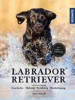 Labrador Retriever Moller Anja