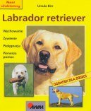 Labrador retriever Birr Ursula