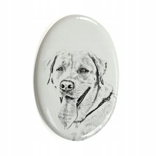 Labrador Retriever Płytka ceramiczna pamiątka Inna marka
