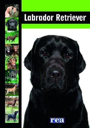 Labrador Retriever. Poradnik encyklopedyczny Opracowanie zbiorowe
