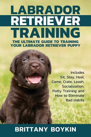 Labrador Retriever Training Brittany Boykin