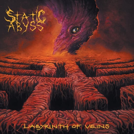 Labyrinth Of Veins, płyta winylowa Static Abyss
