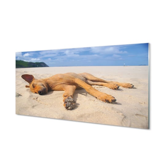 Lacobel szklany + klej Leżący pies plaża 120x60 cm Tulup