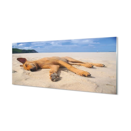 Lacobel szklany + klej Leżący pies plaża 125x50 cm Tulup