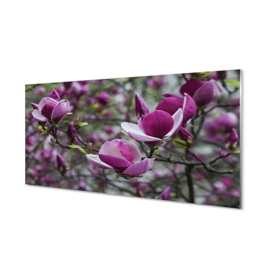 Lacobel z grafiką + klej Fioletowa magnolia 120x60 Tulup