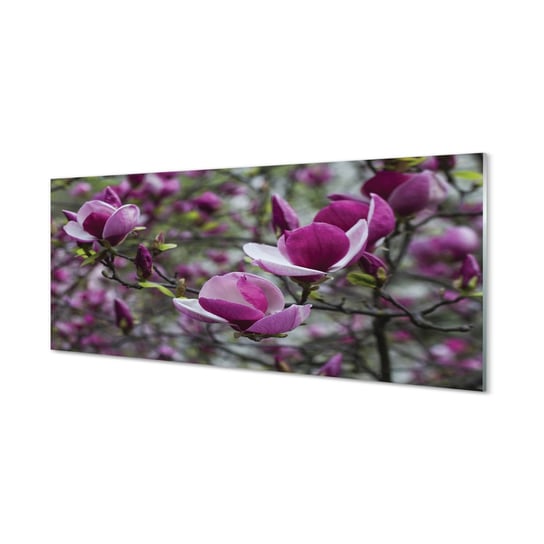 Lacobel z grafiką + klej Fioletowa magnolia 125x50 cm Tulup